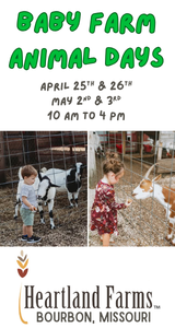 HeartlandFarmsBabyAnimals